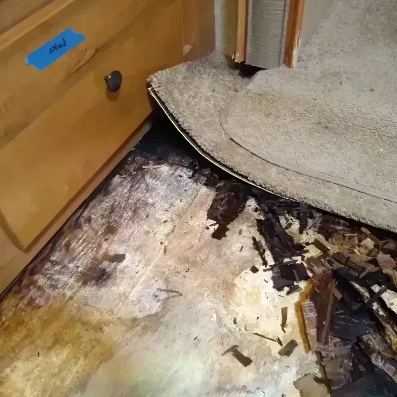 Wood Floor Water Damage in Dixie County, FL